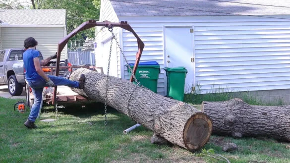 Turning Logs into Lumber